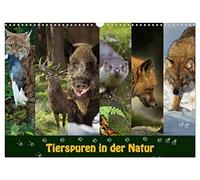 Calendrier 2027 · US Version · Traces d'animaux dans la nature | Découvrez les animaux et leurs traces dans la nature · DIN A3 paysage · CALVENDO Calendrier mural