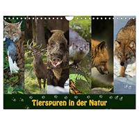 Calendrier 2027 · US Version · Traces d'animaux dans la nature | Découvrez les animaux et leurs traces dans la nature · DIN A4 paysage · CALVENDO Calendrier mural