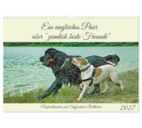 Calendrier 2027 · US Version · Un duo dépareillé, mais « de très bons amis | L'amitié entre une chienne de race Terre-Neuve et un Staffordshire Bull Terrier · DIN A3 paysage · CALVENDO Calendrier mural
