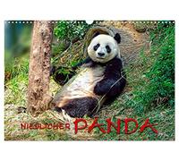 Calendrier 2027 · US Version · Un panda trop mignon | Des photos impressionnantes d'un magnifique animal · DIN A3 paysage · CALVENDO Calendrier mural