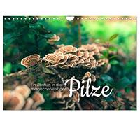 Calendrier 2027 · US Version · Un voyage dans l'univers magique des | champignons · Ni végétal, ni animal · DIN A4 paysage · CALVENDO Calendrier mural