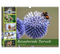 Calendrier 2027 · US Version · Une faune sauvage envoûtante dans son milieu | naturel · La beauté du monde animal chez vous · DIN A3 paysage · CALVENDO Calendrier mural