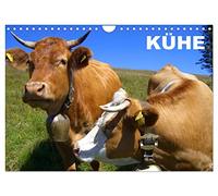Calendrier 2027 · US Version · Vaches/Calendrier d'anniversaire | De magnifiques races bovines pour tous les amateurs de vaches · DIN A4 paysage · CALVENDO Calendrier mural