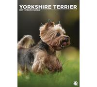 Calendrier 2027 Yorkshire Terrier Dog - Format A3 - En couleur - Reliure à spirales (CRU)