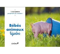 Calendrier 52 semaines bébés animaux rigolos