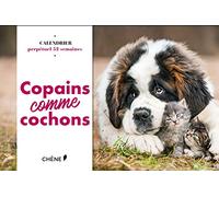 Calendrier 52 semaines Copains Comme Cochons