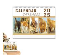 Calendrier à boules de chat 2025 : nouveau calendrier à accrocher au mur, calendrier de 12 mois avec espace pour notes, calendrier pour la famille, les amis et les amoureux des chats