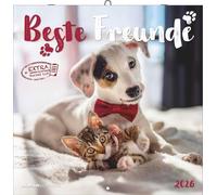 Calendrier Alpha Edition Best Friends 2026 30,2 x 0,6 x 30,4 cm