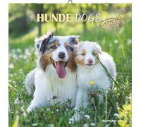 Calendrier Alpha Edition Cani Dogs 2026 30,2 x 0,6 x 30,4 cm