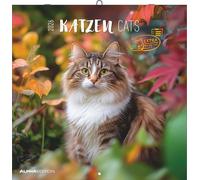 Calendrier Alpha Edition Chats Cats 2026 30,2 x 0,6 x 30,4 cm