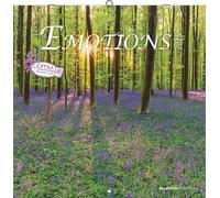 Calendrier Alpha Edition Emotions 2026 30,2 x 0,6 x 30,4 cm