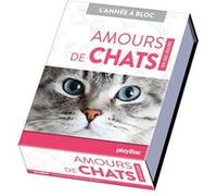 PlayBac Calendrier Amours de chats en 365 jours - L'Année à bloc