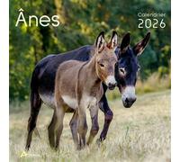 Calendrier ânes 2026 - Collectif - Artemis Eds - broché - Calendrier