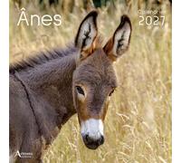 Calendrier Ânes 2027 - Laurent Chrzanovski - Artemis Eds - broché - Calendrier