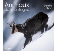 Collectif – Calendrier animaux de montagne 2026 – broché – Artemis