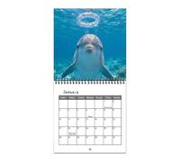 Calendrier annuel 2027 avec photographie de dauphins | Calendrier mural en spirale de 12 mois pour bureau, salle à manger, salon, chambre à coucher, amoureux des animaux, étudiants