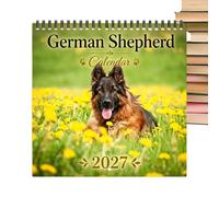 Calendrier Annuel 2027 Planner Grandes Cases Dates Gestion du Temps