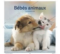 Calendrier Bébés Animaux