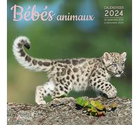 Calendrier Bébés animaux 2024