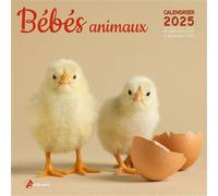 Calendrier Bébés animaux 2025 - Collectif - Artemis Eds - broché - Calendrier
