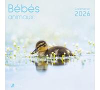 Calendrier bébés animaux 2026