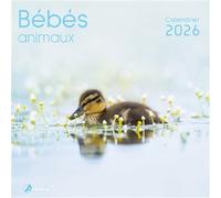 Calendrier bébés animaux 2026 - Collectif - Artemis Eds - broché - Calendrier