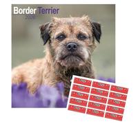 Calendrier Border Terrier 2026 | 16 mois | Avec autocollants d’organisation offerts