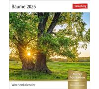 Calendrier cartes postales 2025 - Calendrier hebdomadaire avec 53 cartes postales : calendrier photo avec 53 cartes postales à collectionner et à envoyer. Décoratifs... Photographes. Calendrier de