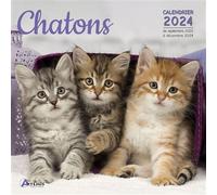 Calendrier Chatons 2024 - Collectif - Artemis Eds - broché - Calendrier