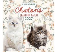 Calendrier Chatons grandeur nature 2027 - Collectif - Rustica - broché - Calendrier