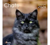 Calendrier chats 2026