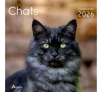Calendrier chats 2026
