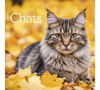 Calendrier Chats 2026