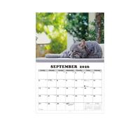 Calendrier Chats 2026 - Outil de Planification 13 Mois,Calendrier Animaux Accrochable,pour Salon Chambre Bureau Salle de Classe Étudiants Enseignants Consultants Indépendants Atelier Dortoir