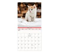 Calendrier Chats Planificateur 12 Mois Motifs Chats Poster Planning