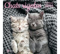 Calendrier chats rigolos 2023