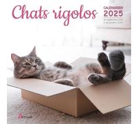 Calendrier Chats rigolos 2025