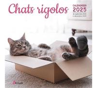 Calendrier Chats rigolos 2025 - Collectif - Artemis Eds - broché - Calendrier