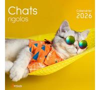Collectif – Calendrier chats rigolos 2026 – broché – Artemis