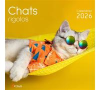 Calendrier chats rigolos 2026 - Collectif - Artemis Eds - broché - Calendrier