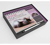 Calendrier chats zen et heureux 2020