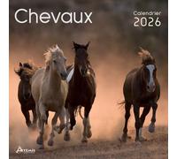 Calendrier chevaux 2026