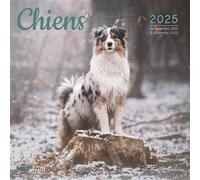 Calendrier Chiens 2025 - Collectif - Artemis Eds - broché - Calendrier