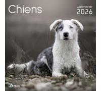 Calendrier chiens 2026