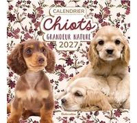 Calendrier Chiots grandeur nature 2027 Collectif (Auteur)