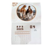 Calendrier de boule de chat 2025 : calendrier mural de chat amusant, calendrier mensuel de boule de chat amusant | Calendrier créatif qui apporte des rires avec du papier durable, 12 pièces mensuelles