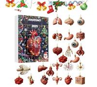 Calendrier de compte à rebours 2025 | Figurines d'anatomie 2D 2025, pendentifs de calendrier de Noël scientifique - Pour mur, fenêtre, chambre, salon, fête de vacances et