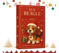 Calendrier de Compte à Rebours Noël - Pendentifs 2D Acrylique Mignons | Ornements 24 Jours pour Voiture Rétroviseur Chaussette Poignée Jar - Décoration Festive Fête Hiver