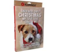 Calendrier de l’Avent Chien - Chick’n Snack - sans Gluten - sans sucres ajoutés - 24 friandises XXL - Flamingo