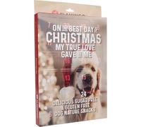 Flamingo Calendrier de Noël Nature pour Chiens - 24 pièces de fiandises - avec Snacks Naturels, Idéal pour Un Noël Gourmand et Festif